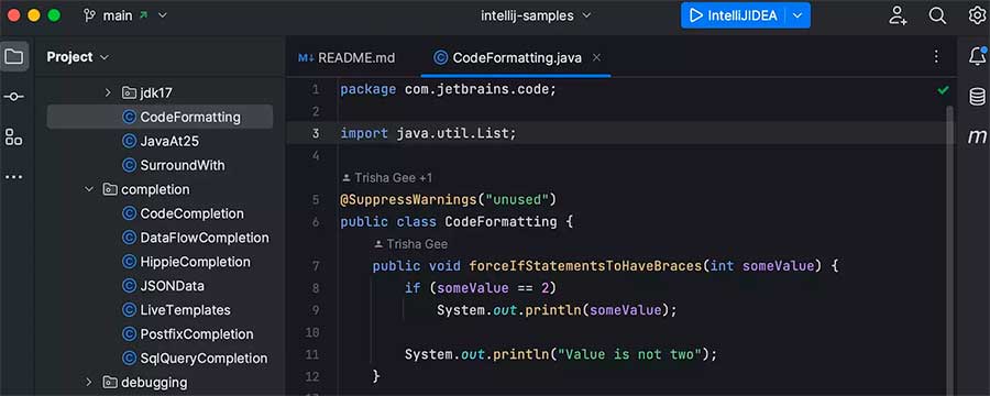 JetBrains IntelliJ IDEA Ultimate 2024 crack