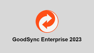 GoodSync Enterprise 2023