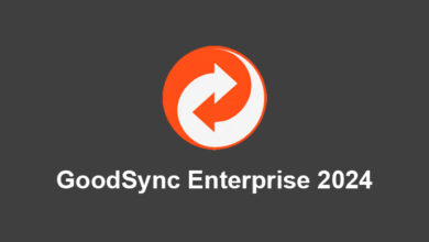 GoodSync Enterprise 2024