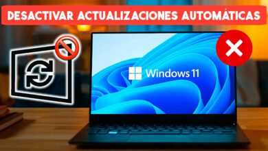 desactivar las actualizaciones de windows 11