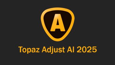 Topaz Adjust 2025