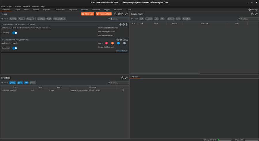 Burp Suite Professional 2025