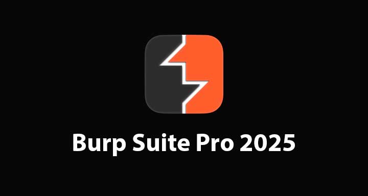 Burp Suite Professional 2025