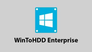 WinToHDD Enterprise crack