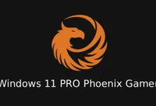 Windows 11 Phoenix Gamer