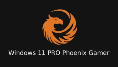 Windows 11 Phoenix Gamer